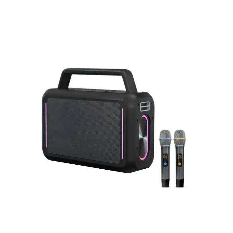اسپیکر فیلیپس مدل Philips SD228 به همراه ۲ عدد میکروفون