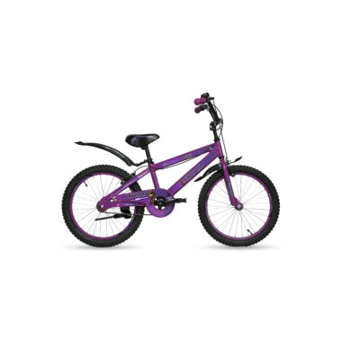 دوچرخه چیاوا مدل دنیز سایز ۲۰