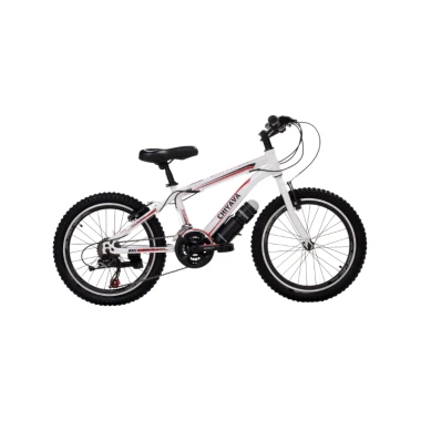 دوچرخه چیاوا مدل آکو تک سرعته دوشاخ ساده سایز ۲۰