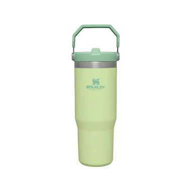 ماگ نی دار استنلی مدل Flip Straw tumbler 880 ml