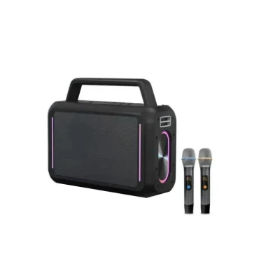 اسپیکر فیلیپس مدل Philips SD228 به همراه ۲ عدد میکروفون